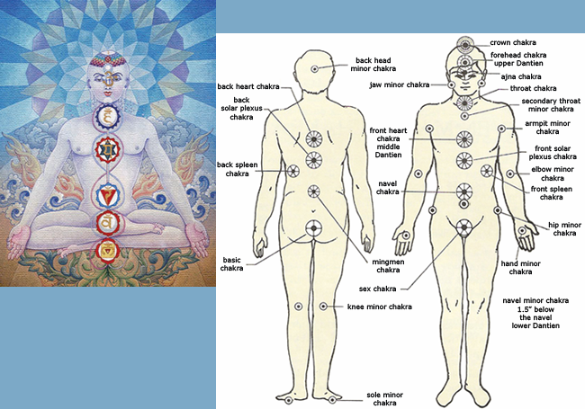 Половая чакра. Чакры головы. Носовая чакра. Чакры на лице человека. Чакра в паху.