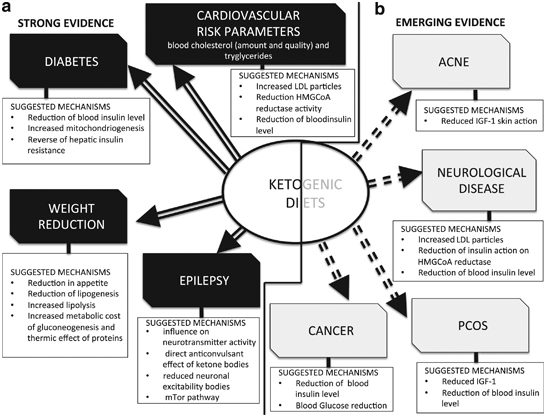 Ketogenic Diet