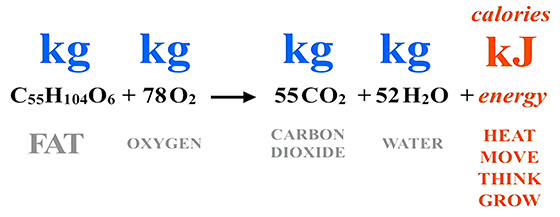 Integrative Chi Kung