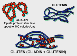 Ketogenic Diet